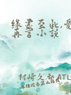 缘尽至此,爱不再言小说