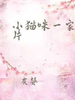 小猫咪一家动画片