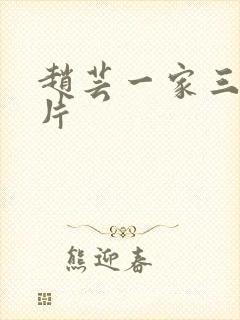 赵芸一家三口照片