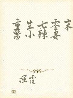 重生七零末 神医小辣妻