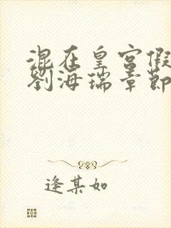 混在皇宫假太监刘海瑞章节