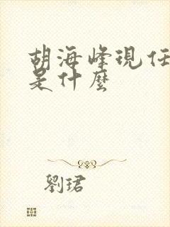 胡海峰现任职务是什么