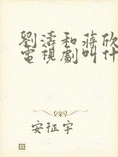 刘涛和蒋欣演的电视剧叫什么名字