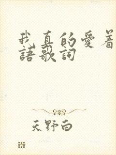 我真的爱着你粤语歌词