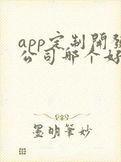 app定制开发公司哪个好