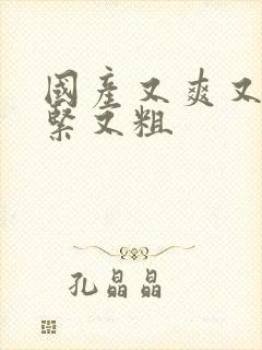 国产又爽又黄又紧又粗