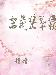 如果让我遇见你而我正年轻是什么歌