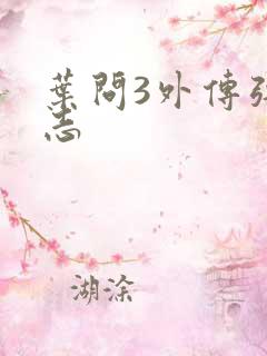 叶问3外传张天志