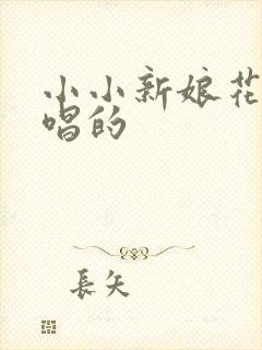 小小新娘花是谁唱的
