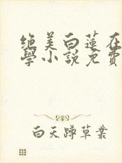 绝美白莲在线教学小说免费阅读全集