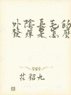 外阴长毛的地方发痒是怎么回事