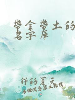 带金带土的男孩名字库