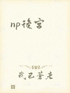 np后宫