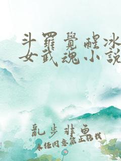斗罗觉醒冰天雪女武魂小说
