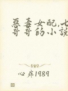 恶毒女配,七个哥哥的小说