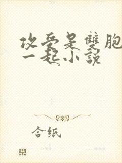 攻受是双胞胎在一起小说