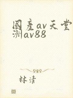 国产av天堂亚洲av88