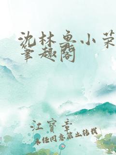 沈林鲁小荣小说笔趣阁