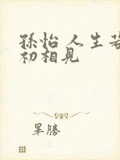 孙怡 人生若如初相见