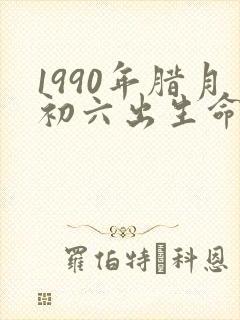 1990年腊月初六出生命运