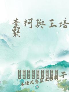 李柯与王培延关系