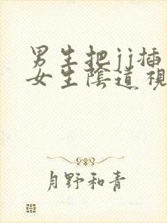 男生把jj插入女生阴道视频