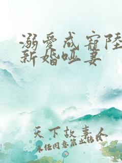 溺爱成宠陆总的新婚哑妻