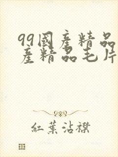 99国产精品国产精品毛片19