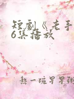 短剧《老手》36集播放