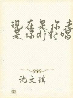 现在是你老了也是你dj对唱版