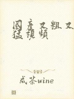 国产又粗又爽又猛视频