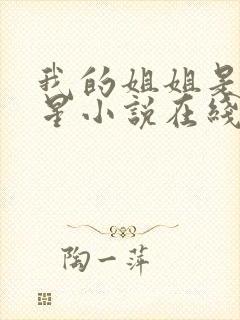 我的姐姐是大明星小说在线阅读
