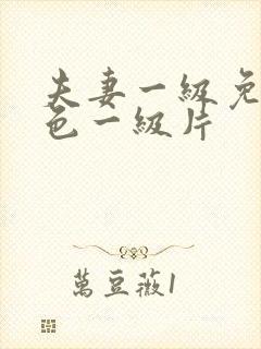 夫妻一级免费黄色一级片