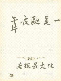 午夜欧美一级艳片