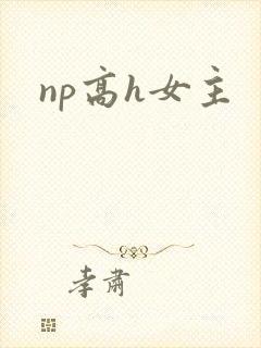 np高h女主
