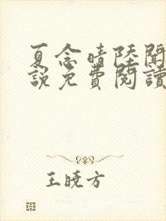 夏念晴陆闻琛小说免费阅读最新章节