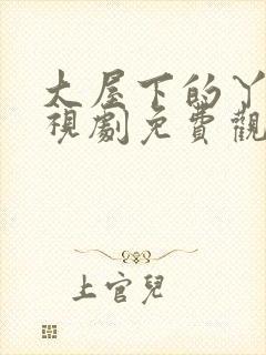 大屋下的丫鬟电视剧免费观看高清