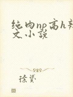 纯肉np高h辣文小说