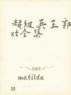 超级兵王郭璞txt全集