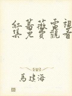 红蔷薇电视剧全集免费观看48集