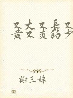 又大又长又粗又黄又爽的少妇毛片