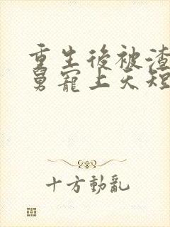 重生后被渣男舅舅宠上天短剧合集