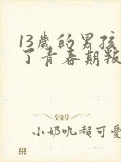 13岁的男孩到了青春期叛逆怎么教