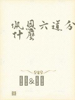 佩恩六道分别叫什么