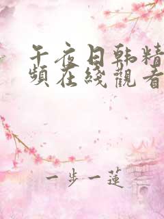 午夜日韩精品视频在线观看