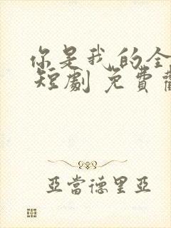 你是我的全世界 短剧 免费观看