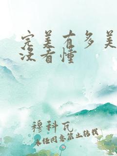 完美有多美结局没看懂