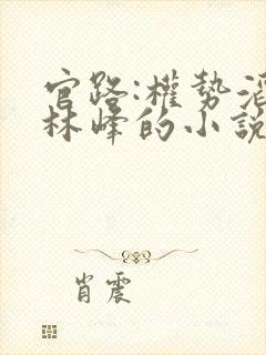 官路:权势滔天林峰的小说