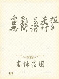 电影《老板娘2无间潜行》