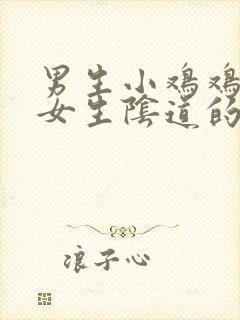 男生小鸡鸡插入女生阴道的视频